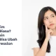 jasa desain pricelist